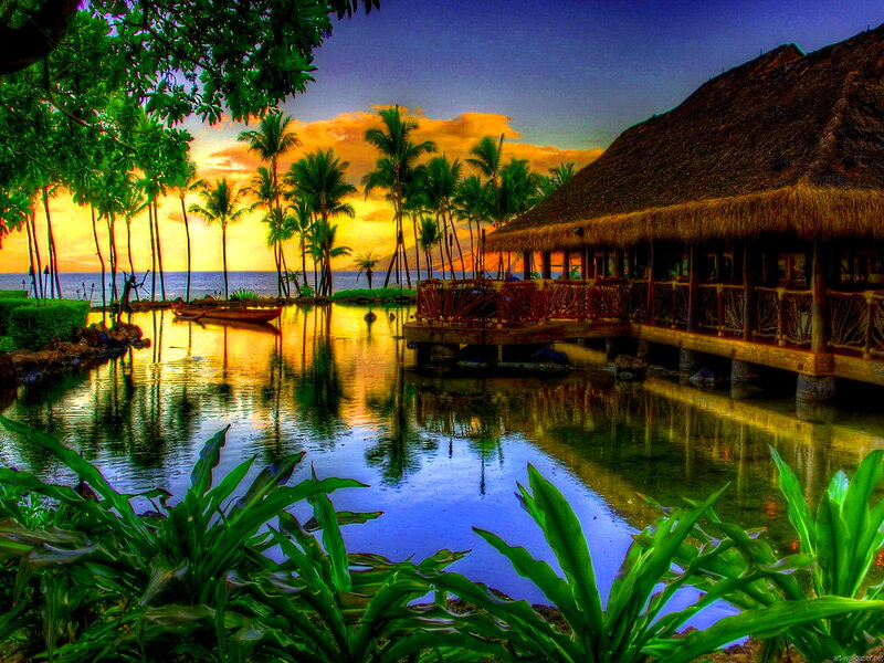 Thatched Hut at Sunset — Green
