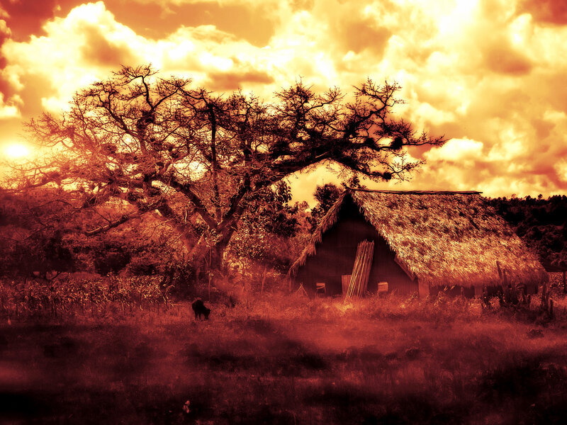 Thatched Hut at Sunset — Orange, Dramatic