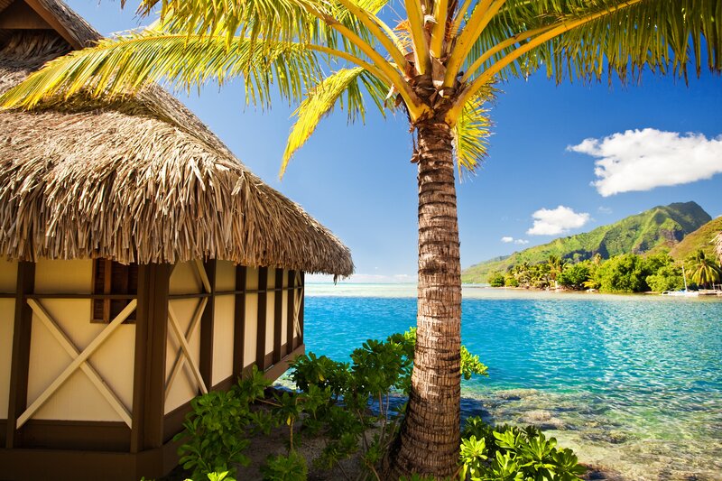 Thatched Hut by Ocean — Blue
