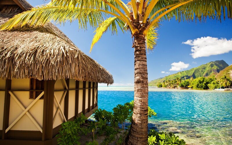 Thatched Hut by Ocean
