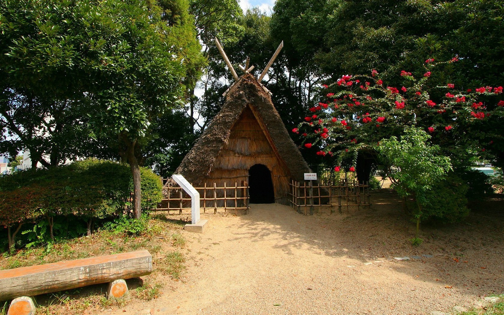 Thatched hut in a park