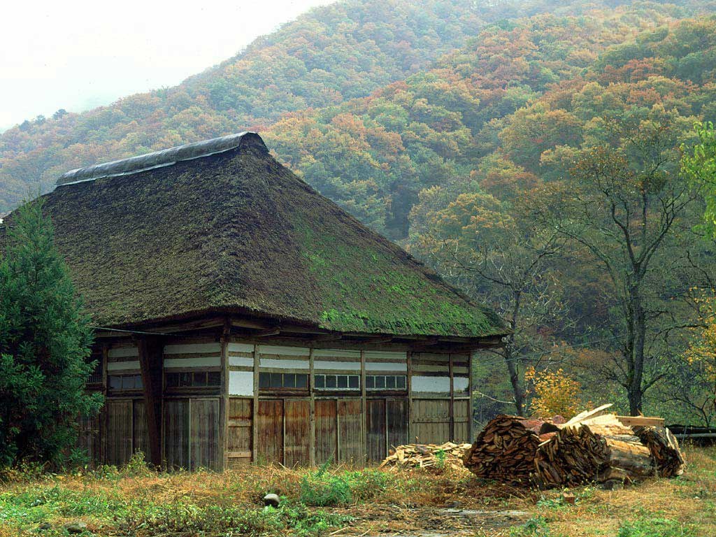 Thatched hut in autumn forest