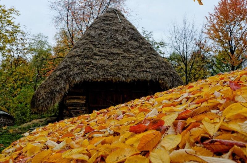 Thatched Hut in Autumn