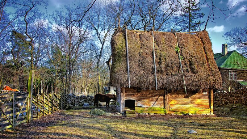 Thatched Hut in Farmyard