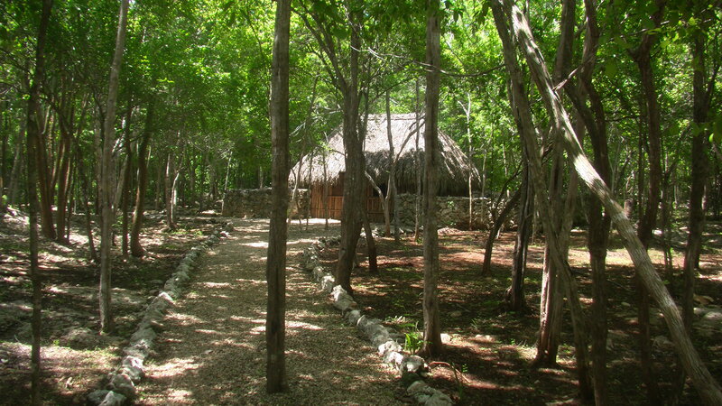 Thatched Hut in Forest — Green, Serene, Afternoon