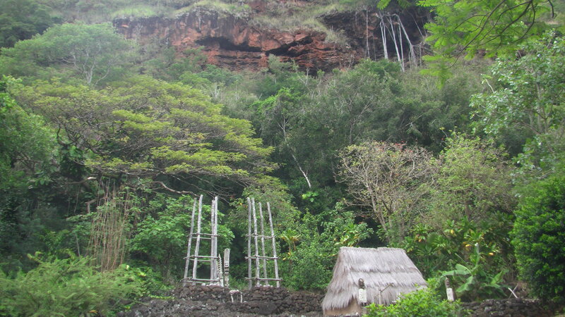 Thatched Hut in Forest — Green, Serene, Photograph