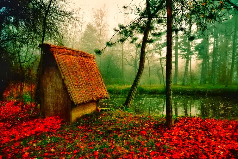 Thatched Hut in Forest — Red
