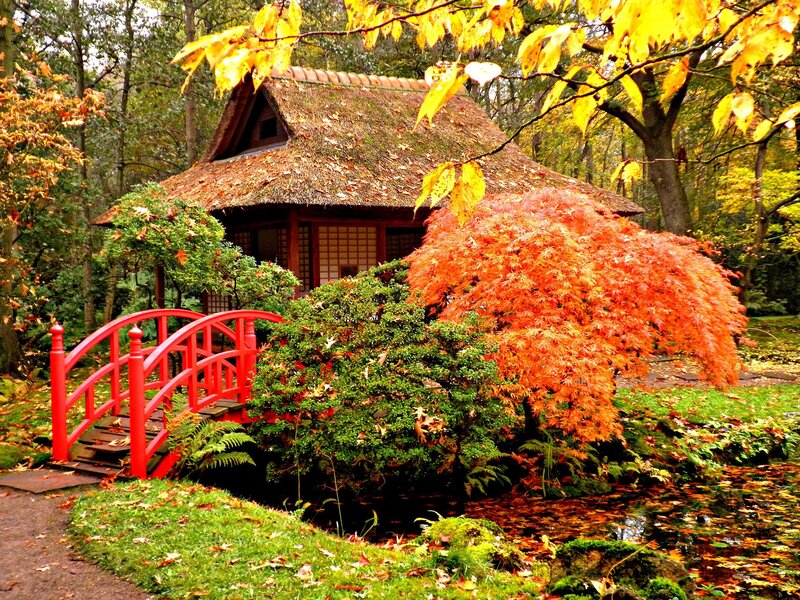 Thatched Hut in Garden — Green, Serene, Autumn