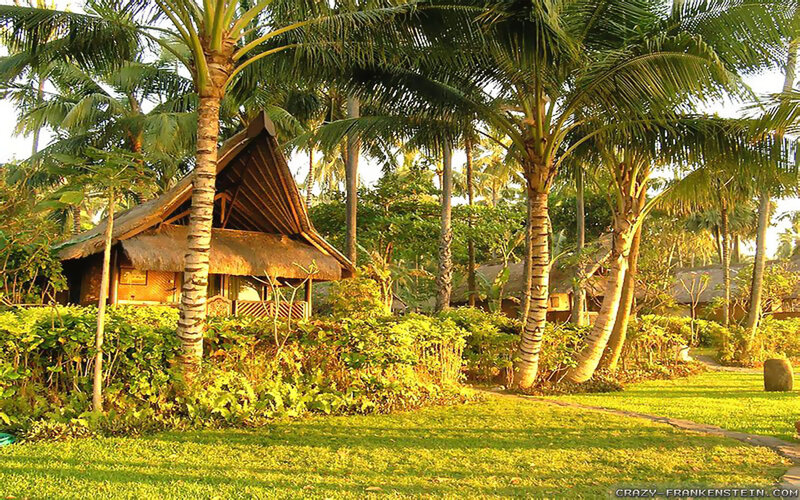 Thatched Hut in Garden — Green, Serene