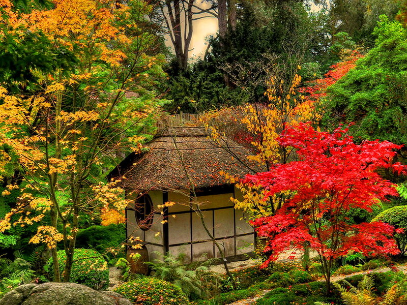 Thatched Hut in Garden