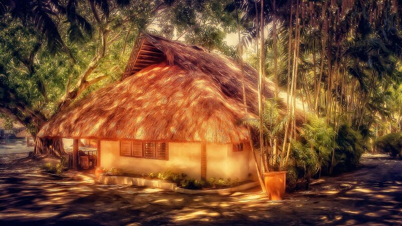 Thatched Hut in Jungle — Brown