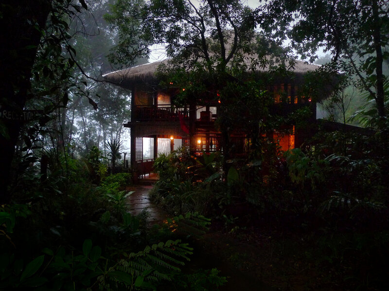 Thatched Hut in Jungle