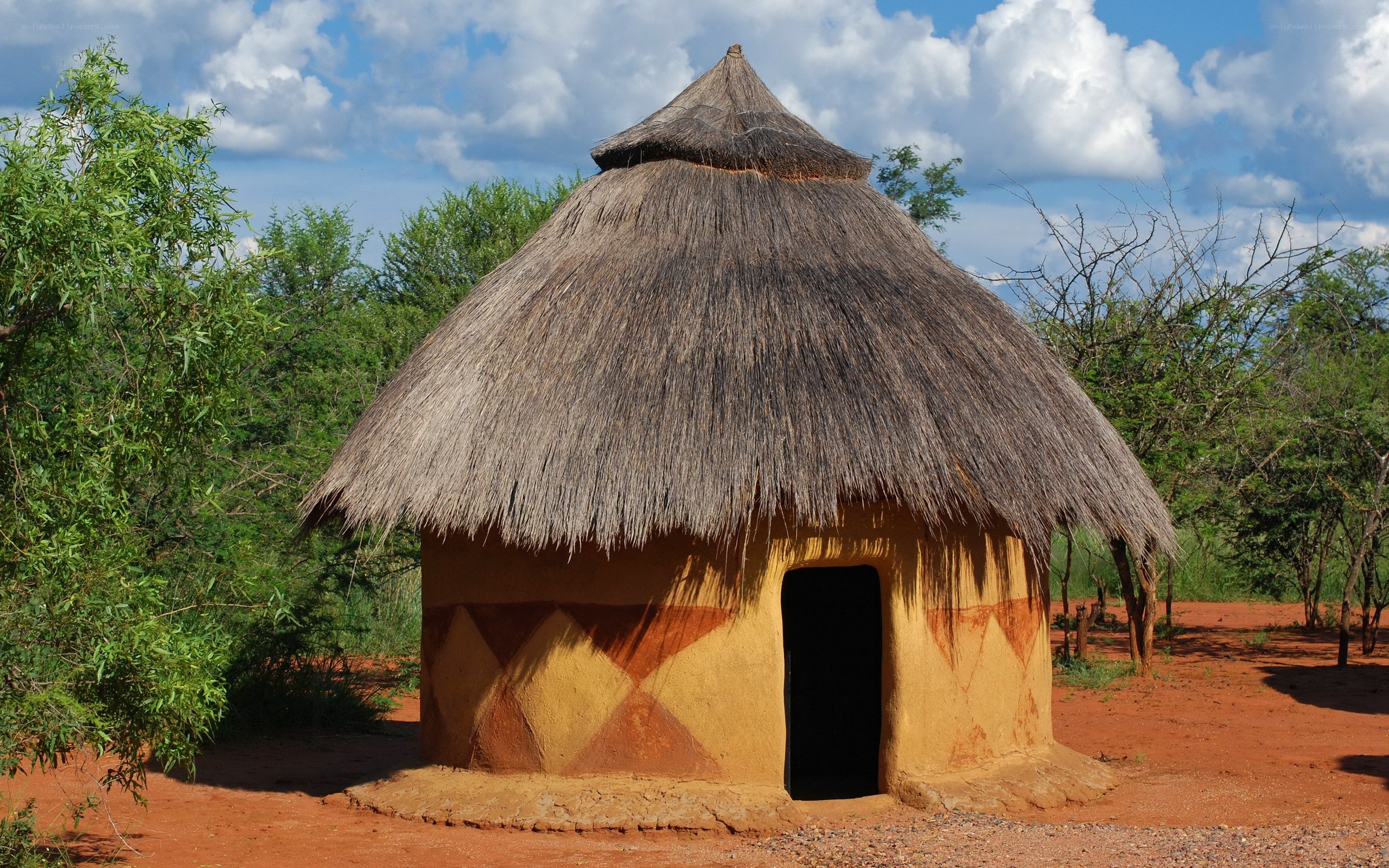 Thatched hut in rural landscape