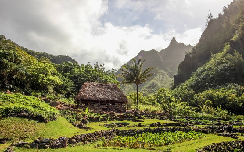 Thatched Hut in Valley