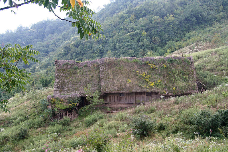 Thatched hut on a hillside