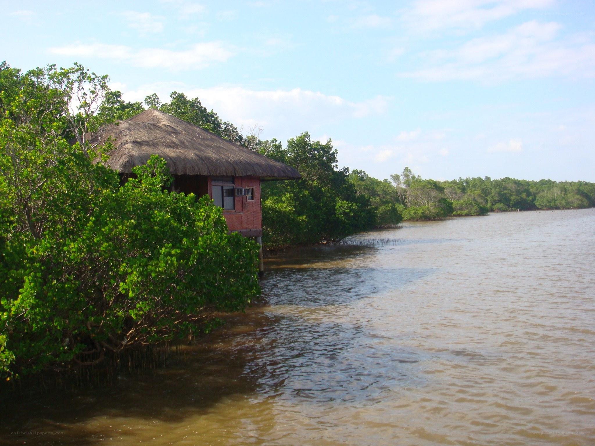 Thatched hut on a riverbank