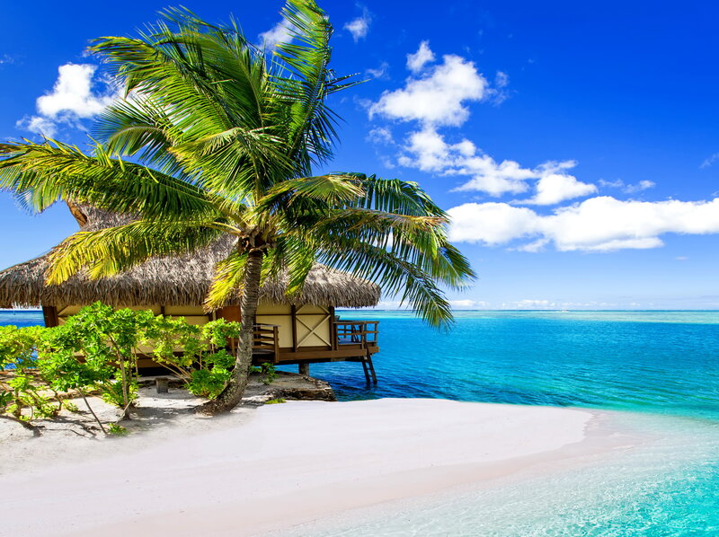 Thatched Hut on Beach — Blue, Serene, Afternoon, Photograph, Palm Tree, Ocean, Sand