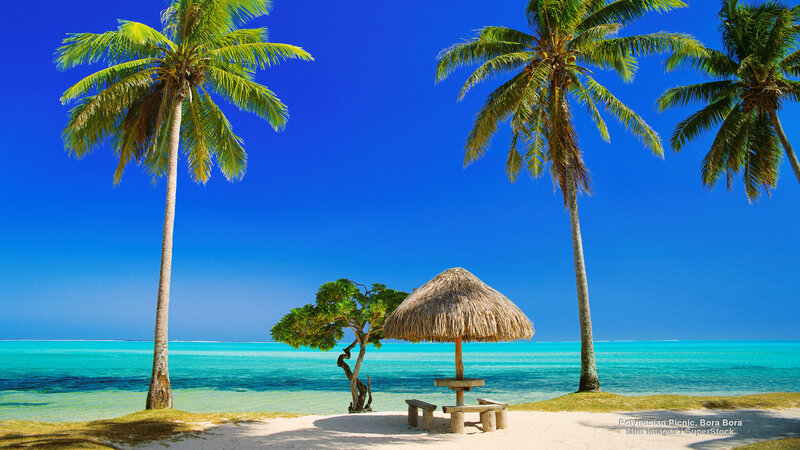 Thatched Hut on Beach — Blue, Serene, Afternoon, Photograph, Palm Trees, Ocean, Sand