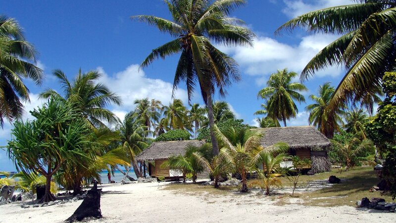Thatched Hut on Beach — Blue, Serene, Afternoon, Photograph, Palm Trees, Sand, Ocean, Sky