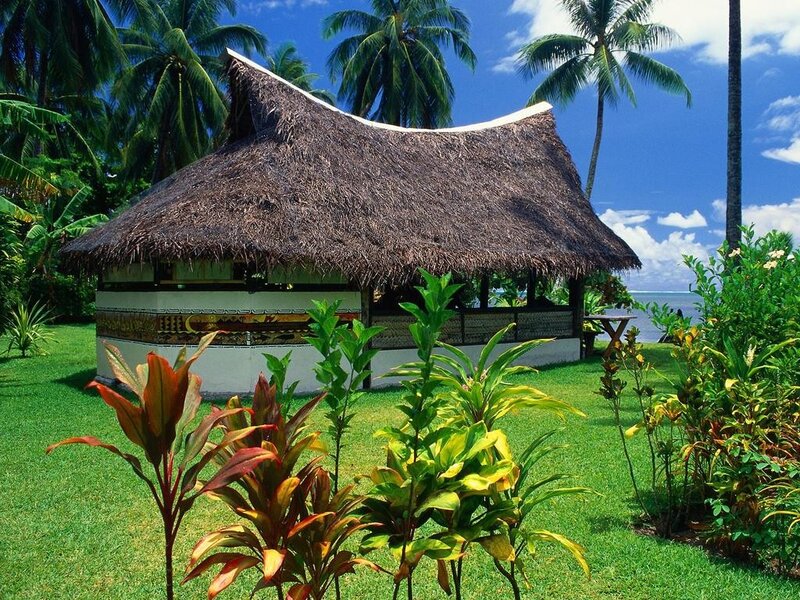 Thatched Hut on Beach — Green, Serene, Afternoon, Photograph, Palm Trees