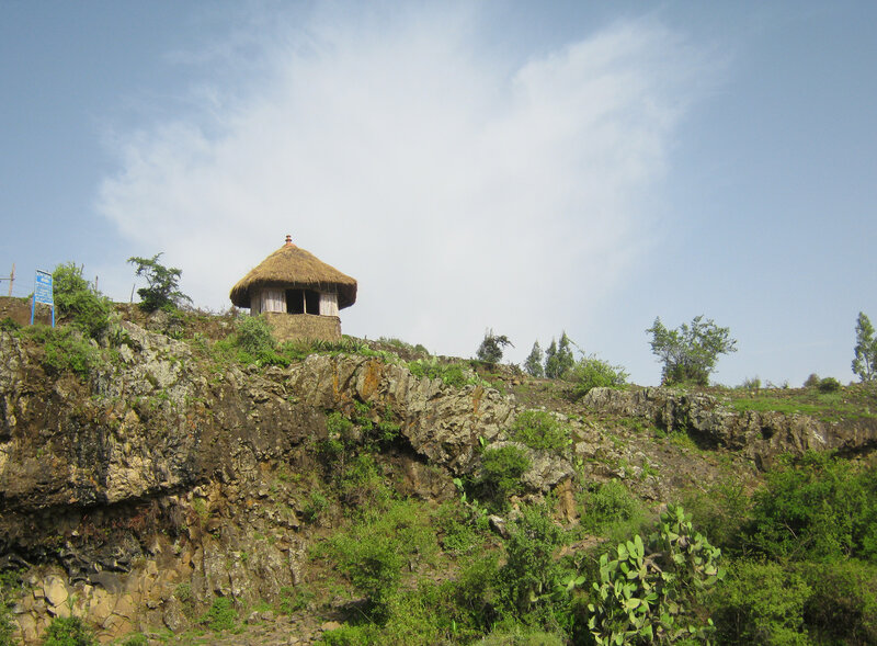 Thatched Hut on Cliff — Green