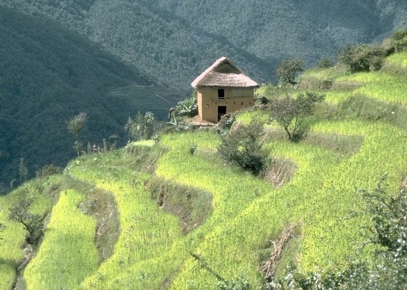 Thatched Hut on Hillside