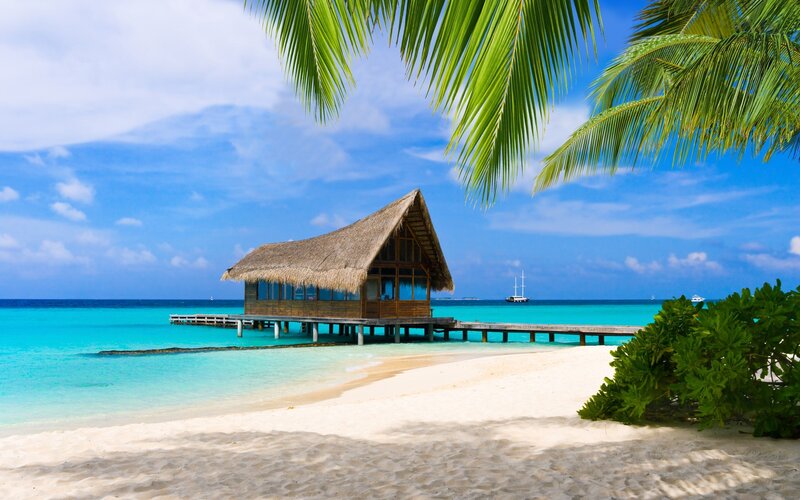 Thatched Hut on Pier — Blue, Serene, Afternoon, Photograph, Palm Tree, Sailboat