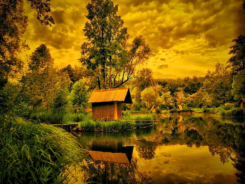 Thatched Hut on Pond