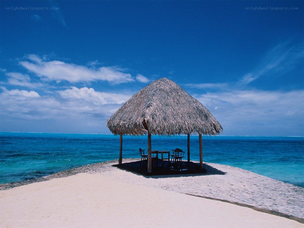 Thatched hut on tropical beach