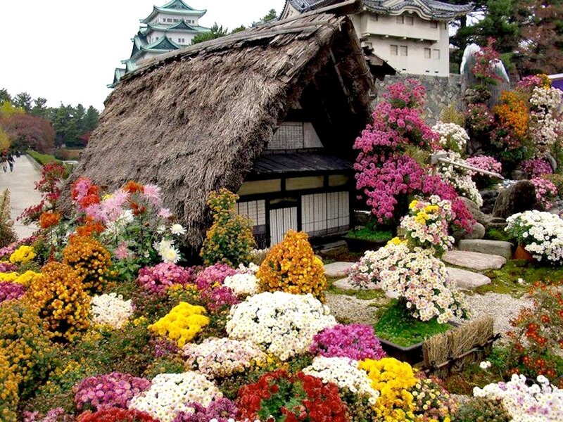 Thatched Hut with Flowers