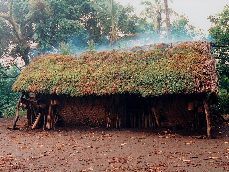 Thatched hut with moss roof