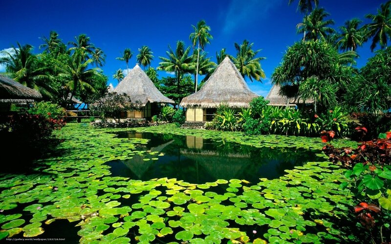 Thatched Huts by Pond — Green, Serene