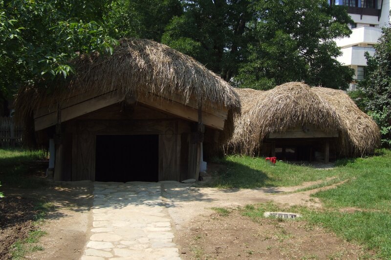 Thatched huts in a park