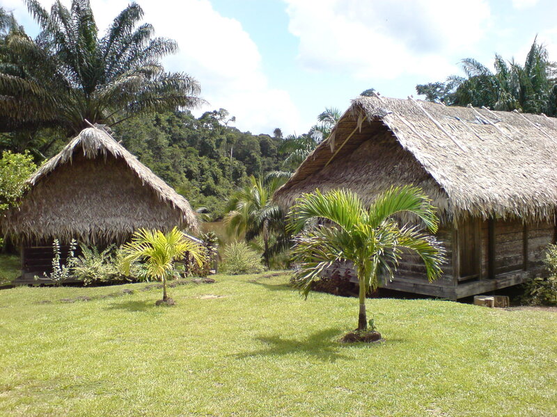 Thatched huts in a tropical setting