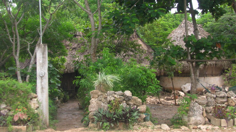 Thatched Huts in Garden