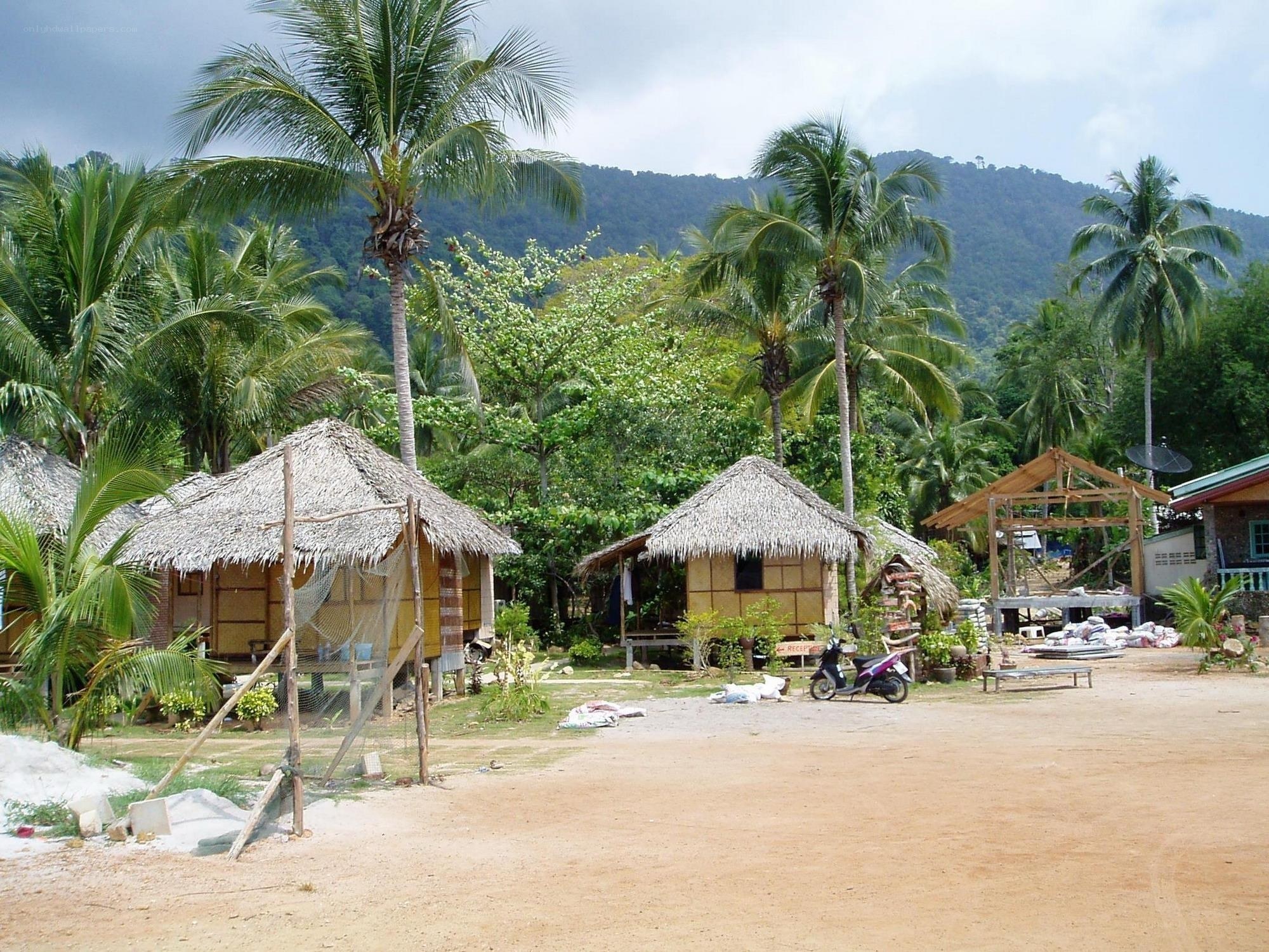 Thatched huts in tropical village