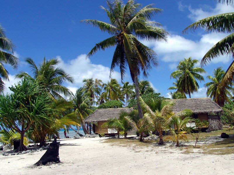 Thatched Huts on Beach — Blue, Serene, Afternoon, Photograph, Palm Trees, Ocean, Sand