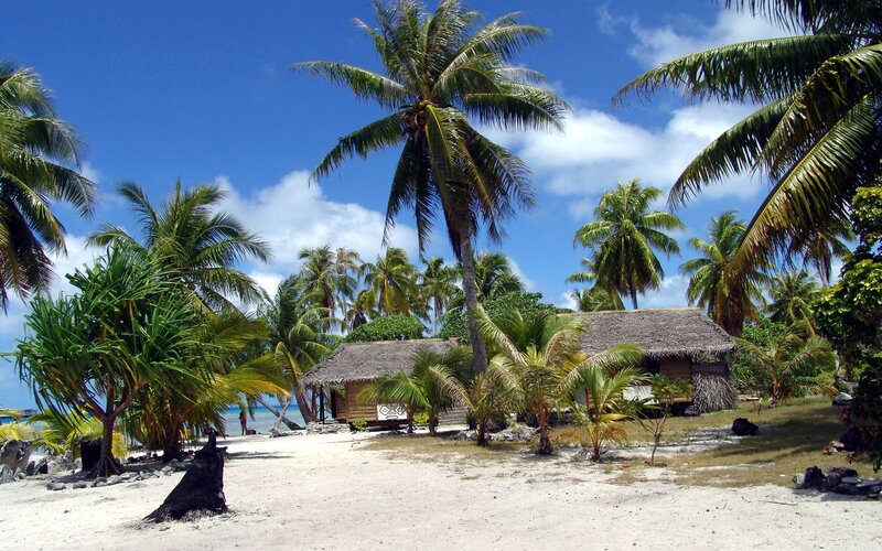 Thatched Huts on Beach — Blue, Serene, Afternoon, Photograph, Palm Trees, Sand