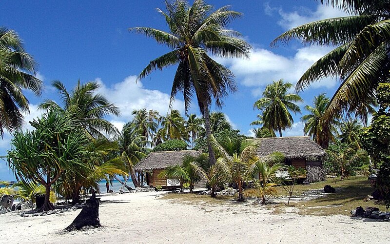Thatched Huts on Beach — Palm Trees