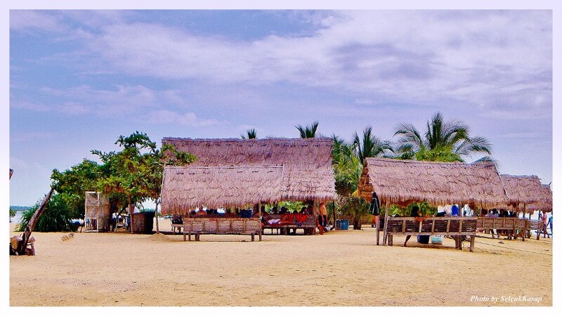Thatched Huts on Beach