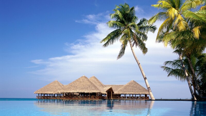 Thatched Huts on Water — Blue, Serene, Afternoon, Photograph, Palm Trees, Ocean