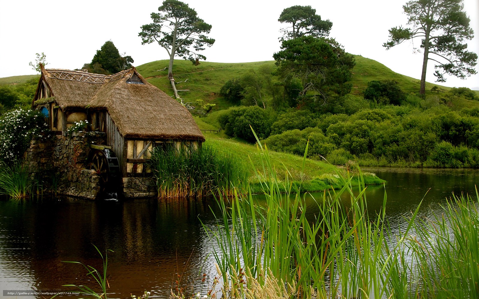 Thatched mill by a pond