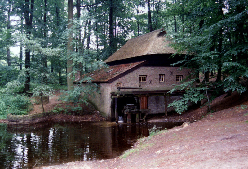 Thatched Mill in Forest