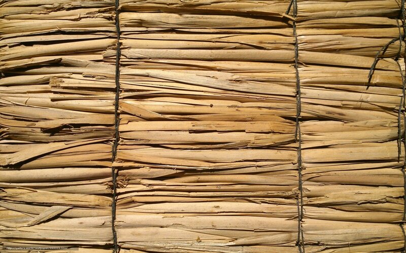 thatched reed wall texture