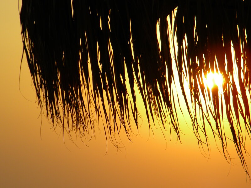 Thatched Roof at Sunset