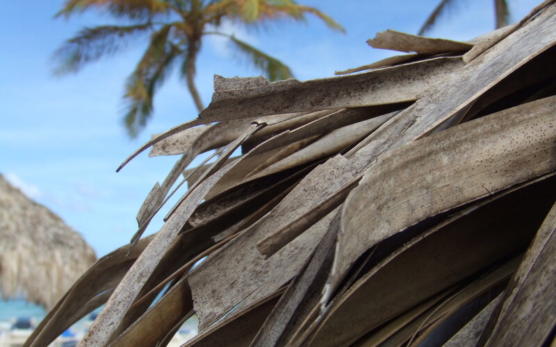 thatched roof at tropical beach