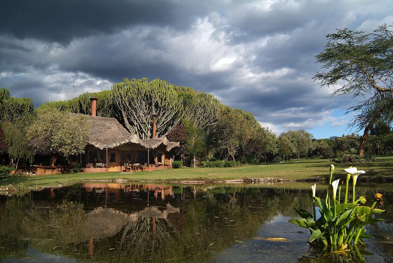 Thatched-roof Building — Green