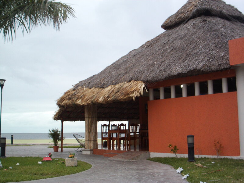 Thatched-roof Building