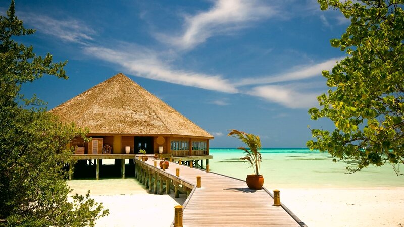 Thatched-roof Bungalow — Blue, Serene, Afternoon, Photograph, Palm Tree