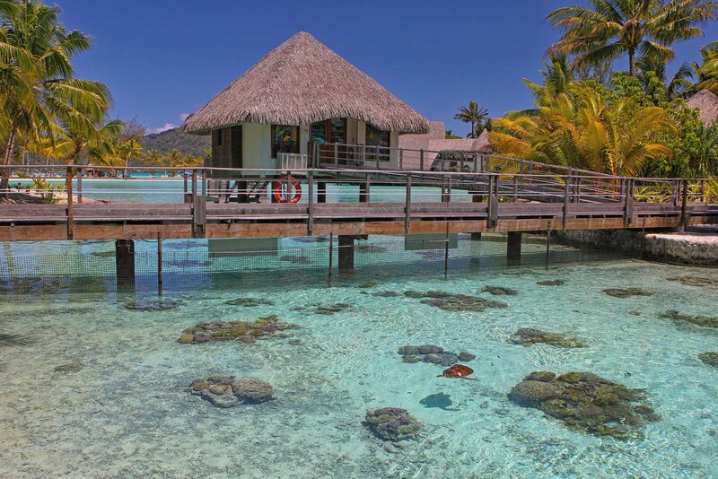 Thatched-roof Bungalow — Blue, Serene, Afternoon, Photograph, Palm Trees